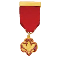 Medal of Honor Pin