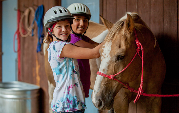 two girls grooming a horse