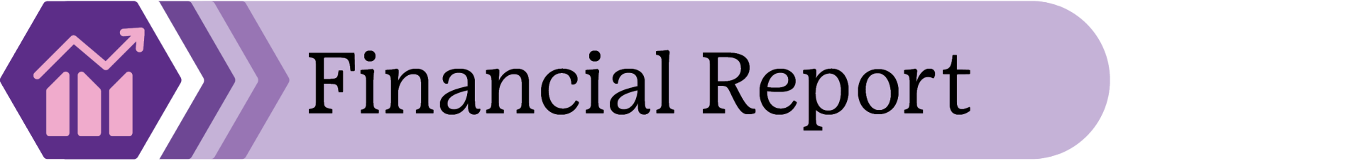 Financial Report Stats