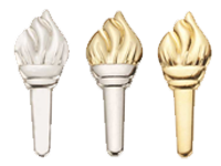 Torch Award Pins