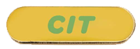 Counselor-in-Training Pin