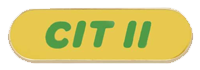 Counselor-in-Training II Pin